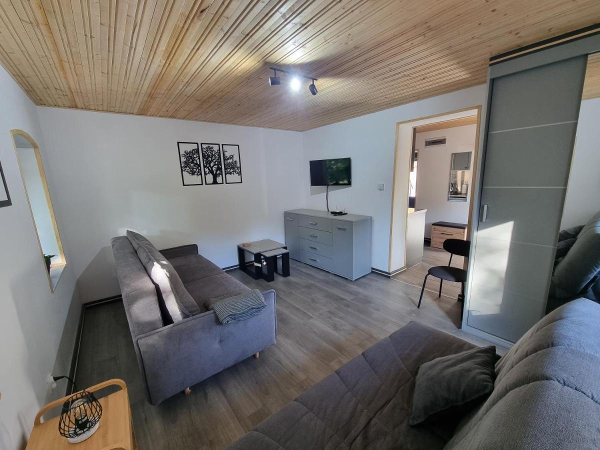 Apartamenty Salamandra Kladsko Exteriér fotografie